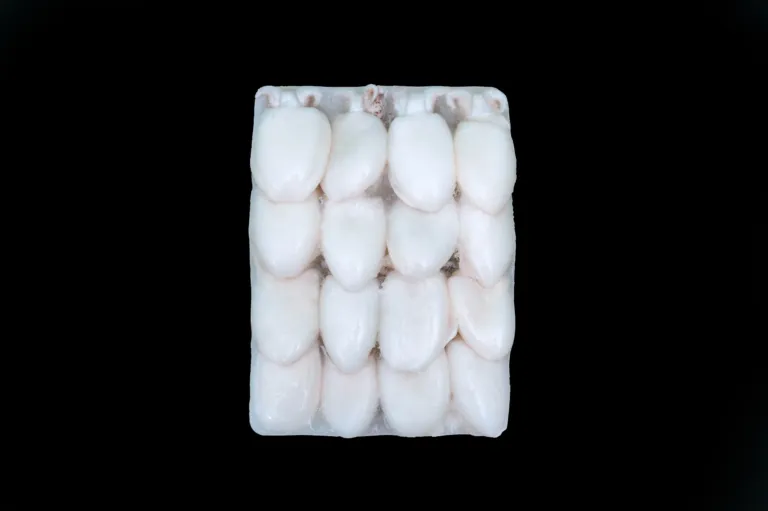 Whole Cleaned Cuttlefish BLOCK
