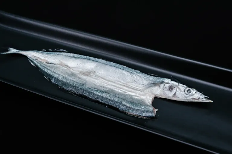 Pacific Saury Hikari Fillet