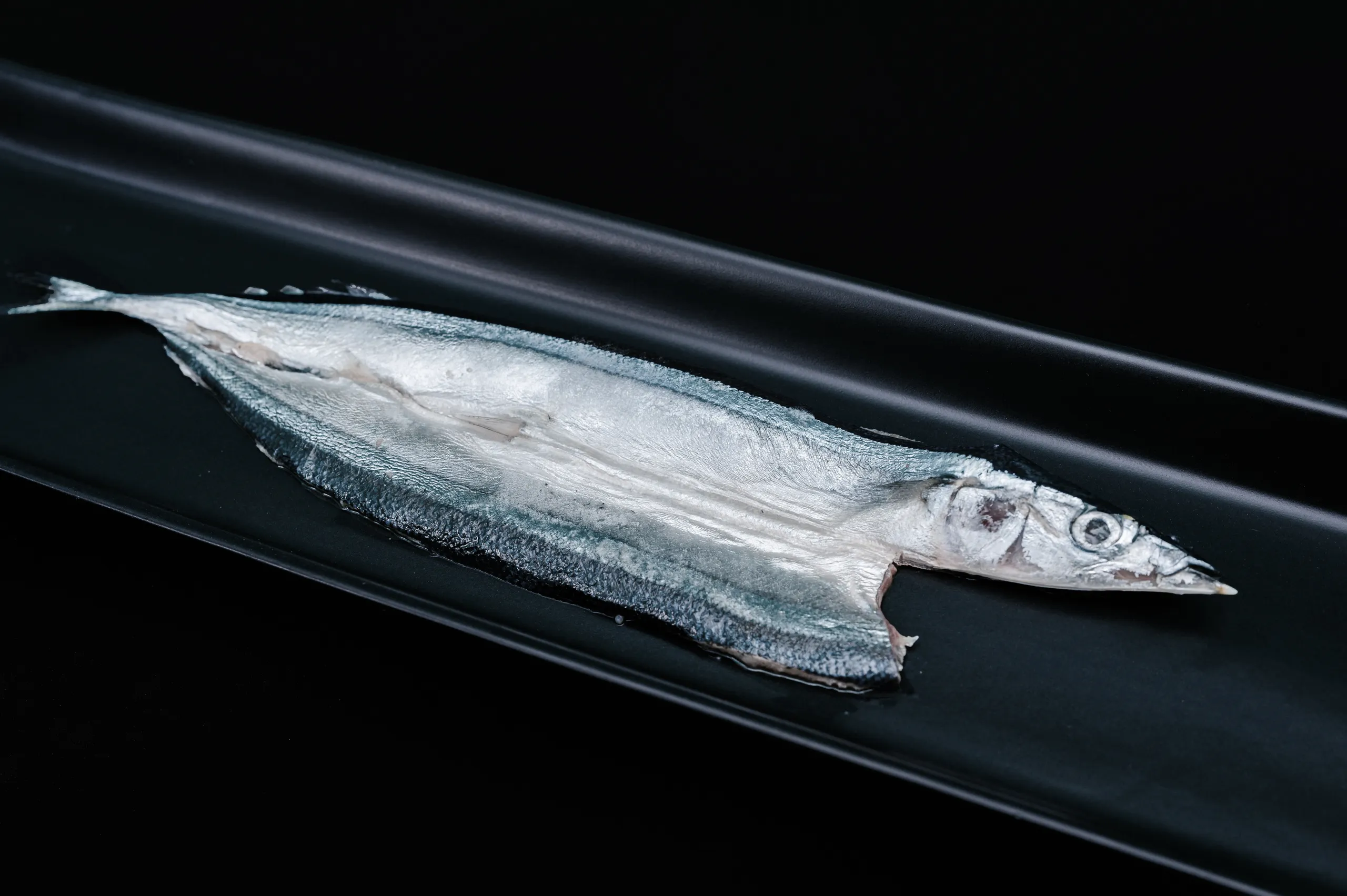 Pacific Saury Hikari Fillet