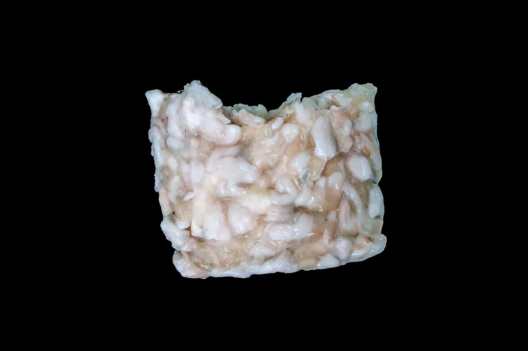 Squid Eggs