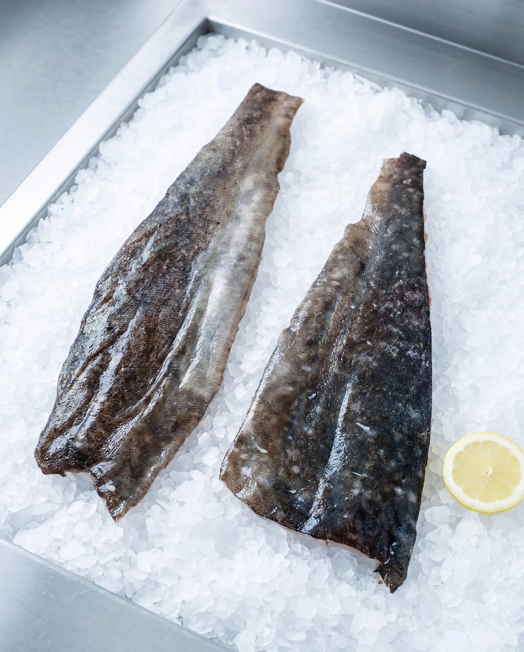 Fish Skin (Salmon/ Cod/ Halibut)