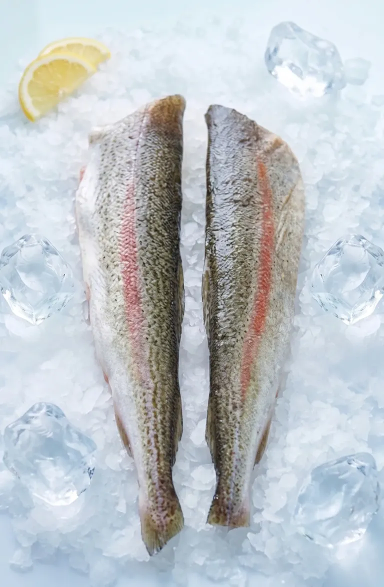 Fish Skin (Salmon/Cod/Halibut)