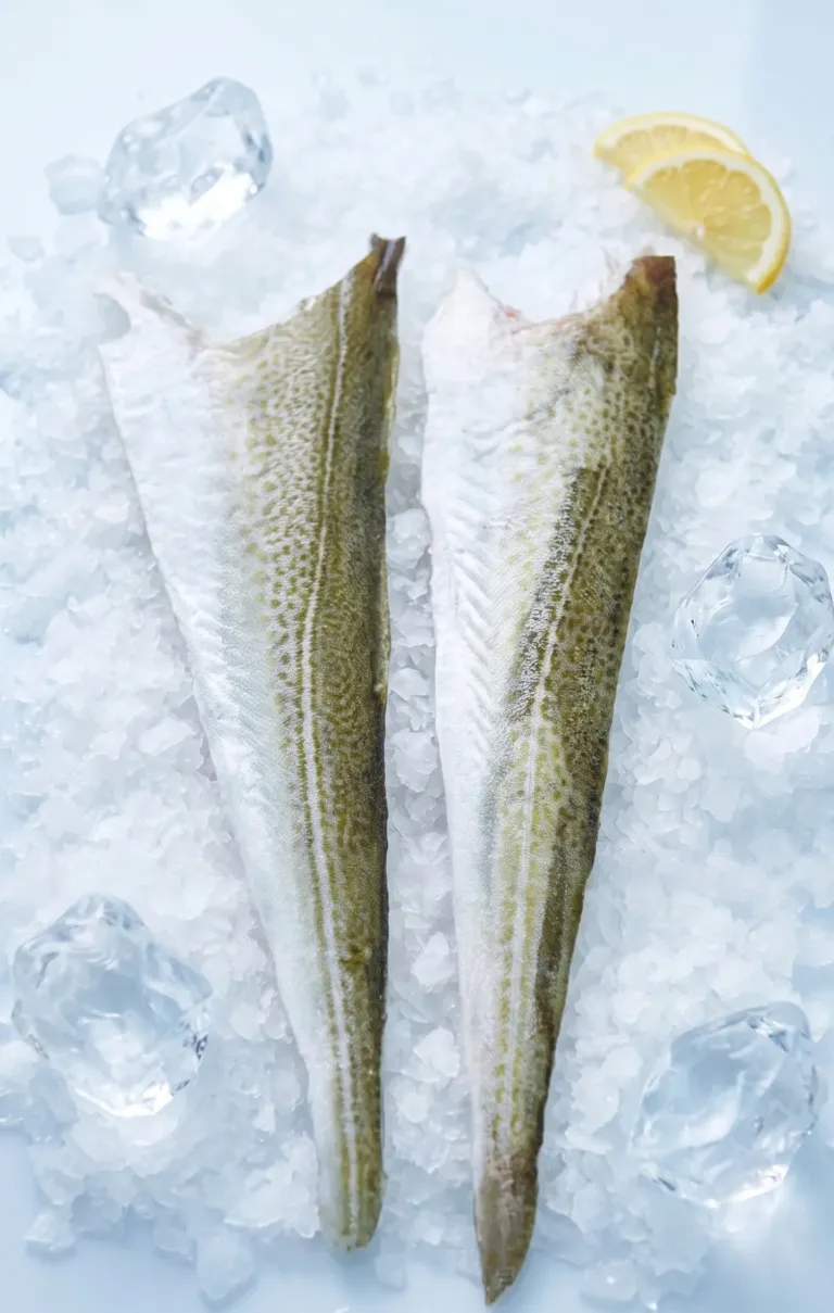 Fish Skin (Salmon/Cod/Halibut)