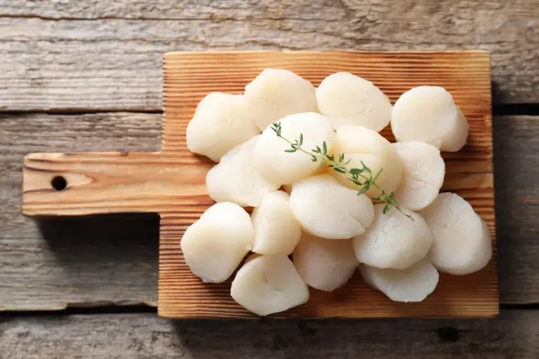 Scallop Meat