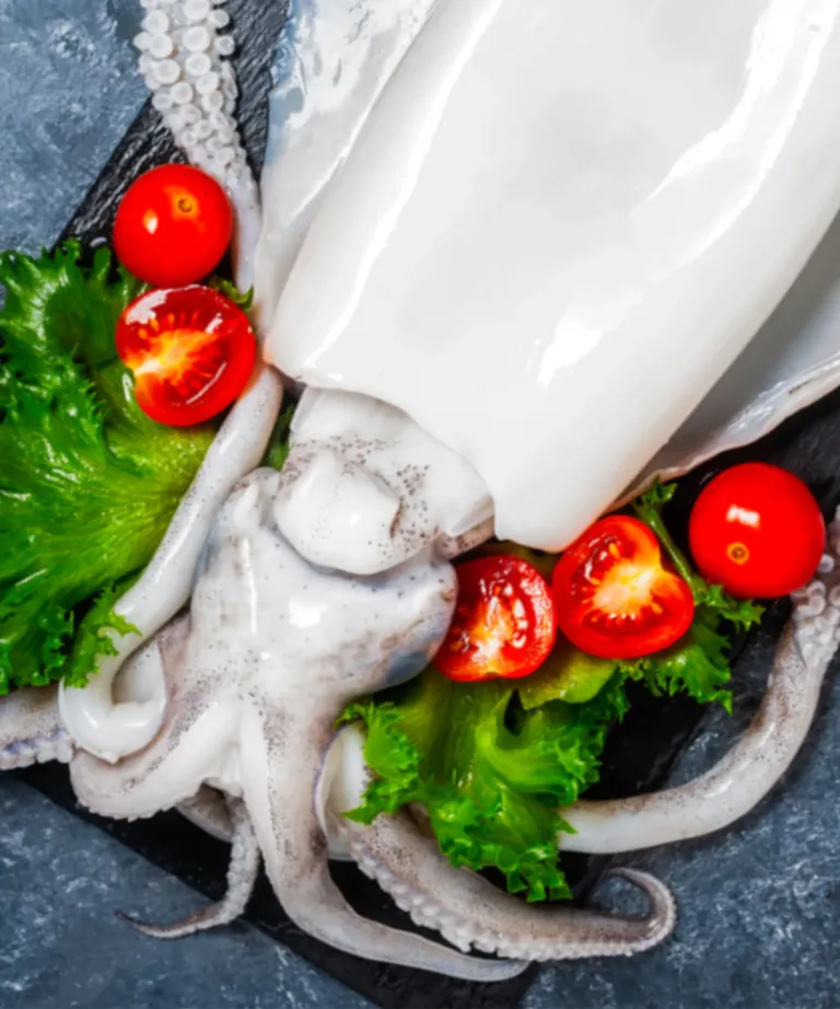 Whole Cleaned Cuttlefish IQF