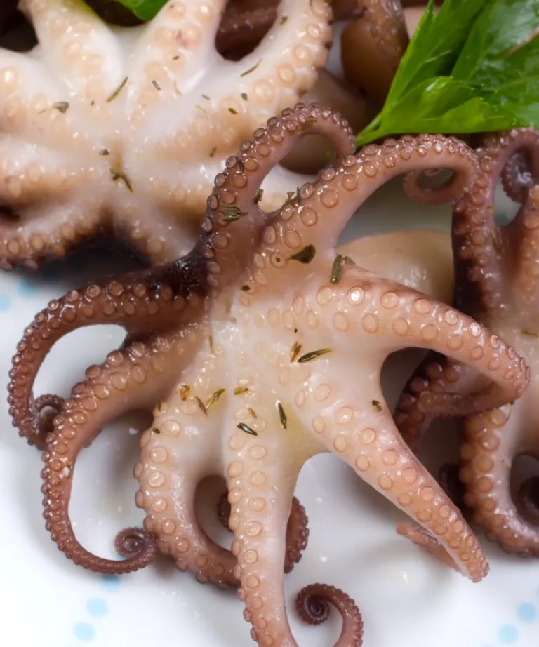 Boiled Whole Cleaned Short Leg Octopus