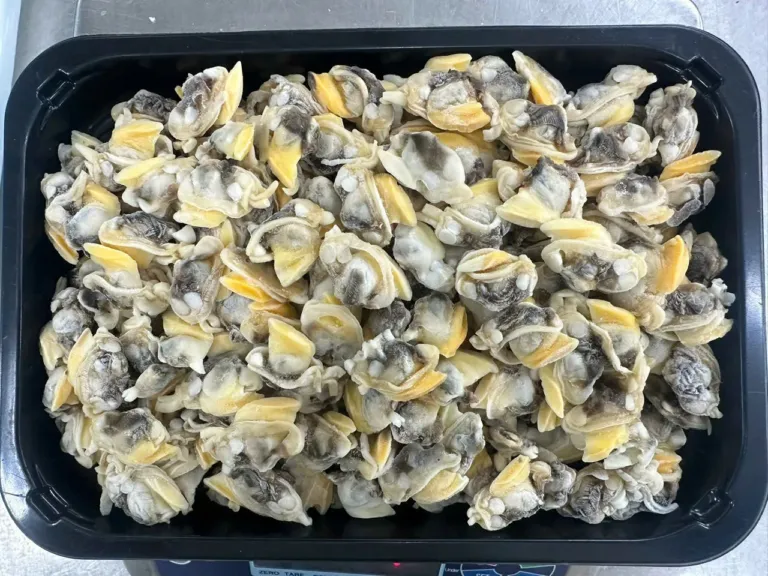Cooked Yellow Clam Meat