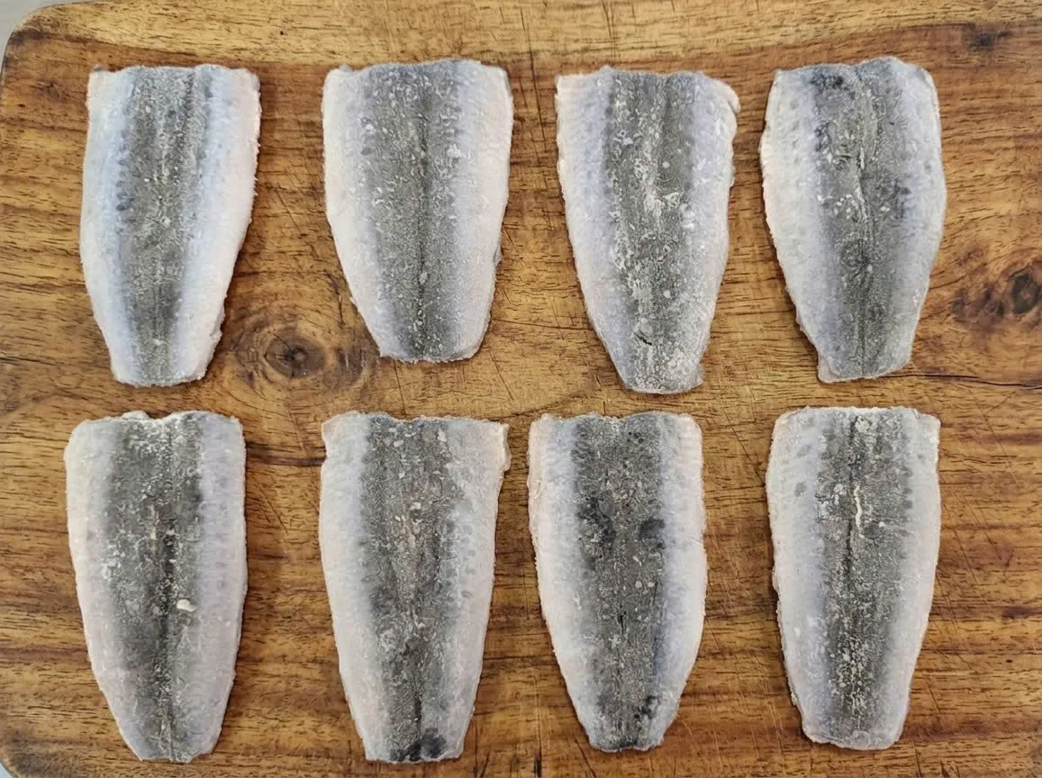 Sardine Butterfly