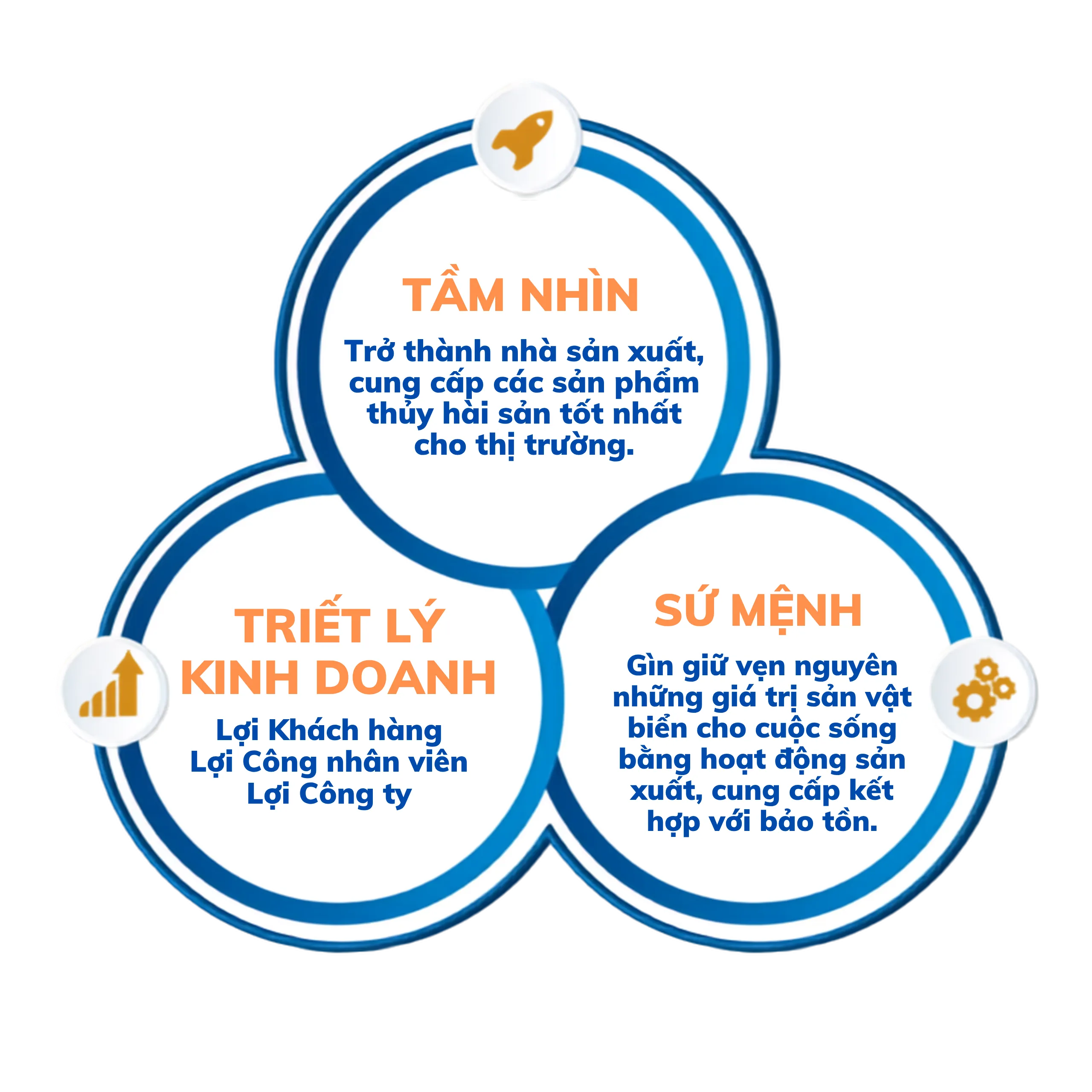 Who Are We - Chúng tôi là ai - - Minh Dang Seafood | Trusted Seafood Exporter From Viet Nam